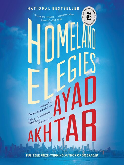 Cover image for Homeland Elegies
